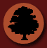 earth born logo image